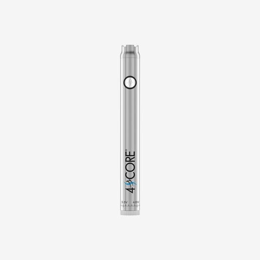 DAY PEN - STAINLESS